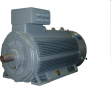 Электродвигатель RH 450 M4 690V