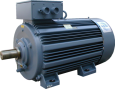 Электродвигатель RKR 355 M4 690V